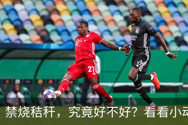 禁烧秸秆，究竟好不好？看看小动物们怎么说！